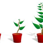 Keuze uit zoveel verschillende soorten planten, welke past het beste bij jou?
