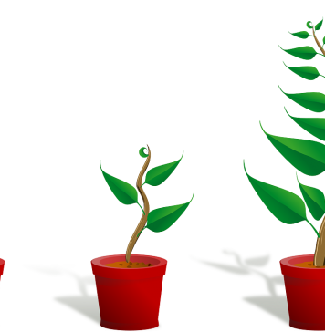 Keuze uit zoveel verschillende soorten planten, welke past het beste bij jou?