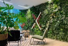 Een op maat gemaakte plantenwand
